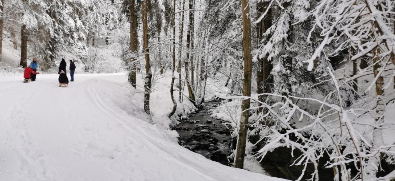 Am Kaltenbach - Spital Am Semmering, Stuhleck Exteriör bild