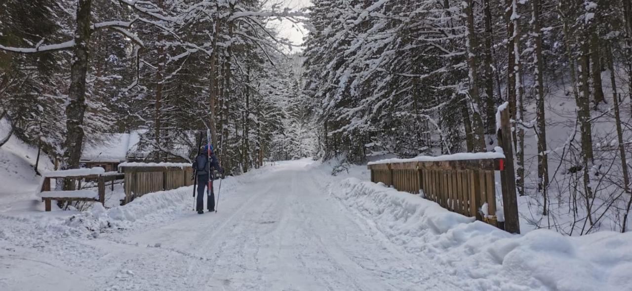 Am Kaltenbach - Spital Am Semmering, Stuhleck Exteriör bild