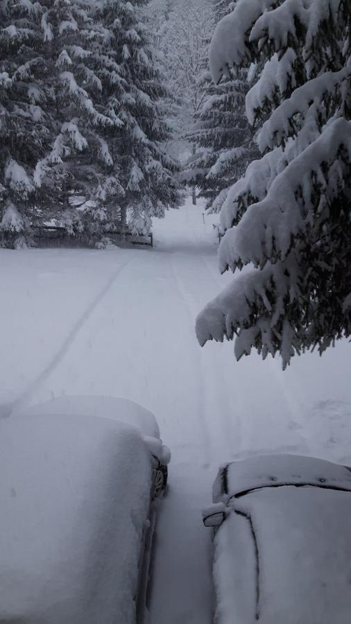 Am Kaltenbach - Spital Am Semmering, Stuhleck Exteriör bild